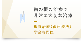 歯の根の治療で
非常に大切な治療 根管治療（歯内療法） 学会専門医